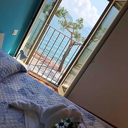 ホテル Mojito