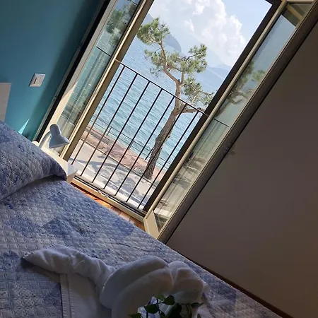 Mojito מלון דומאסו