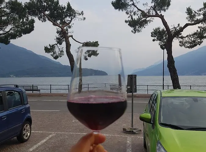 מלון Mojito דומאסו